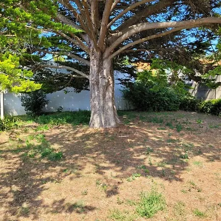 Maison 57m² A 700m De La - 6 Pers - Wifi Et Animaux Admis - Fr-1-540-302 Prázdninový dům Notre-Dame-de-Monts