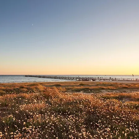Prázdninový dům Maison 57m² A 700m De La - 6 Pers - Wifi Et Animaux Admis - Fr-1-540-302 *
