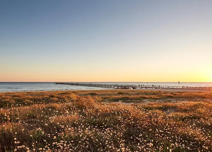 Maison 57m² A 700m De La - 6 Pers - Wifi Et Animaux Admis - Fr-1-540-302 * Notre-Dame-de-Monts